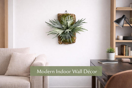 Alternate Angle of Mounted Staghorn Fern Live Plant, Easy Care Indoor Wall Plant, Tropical Green Home Decor, Unique Hanging Houseplant Gift, highlighting its plant look and listing presentation