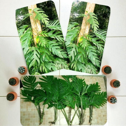 Cute Monsters Tropical Leaf Sapling