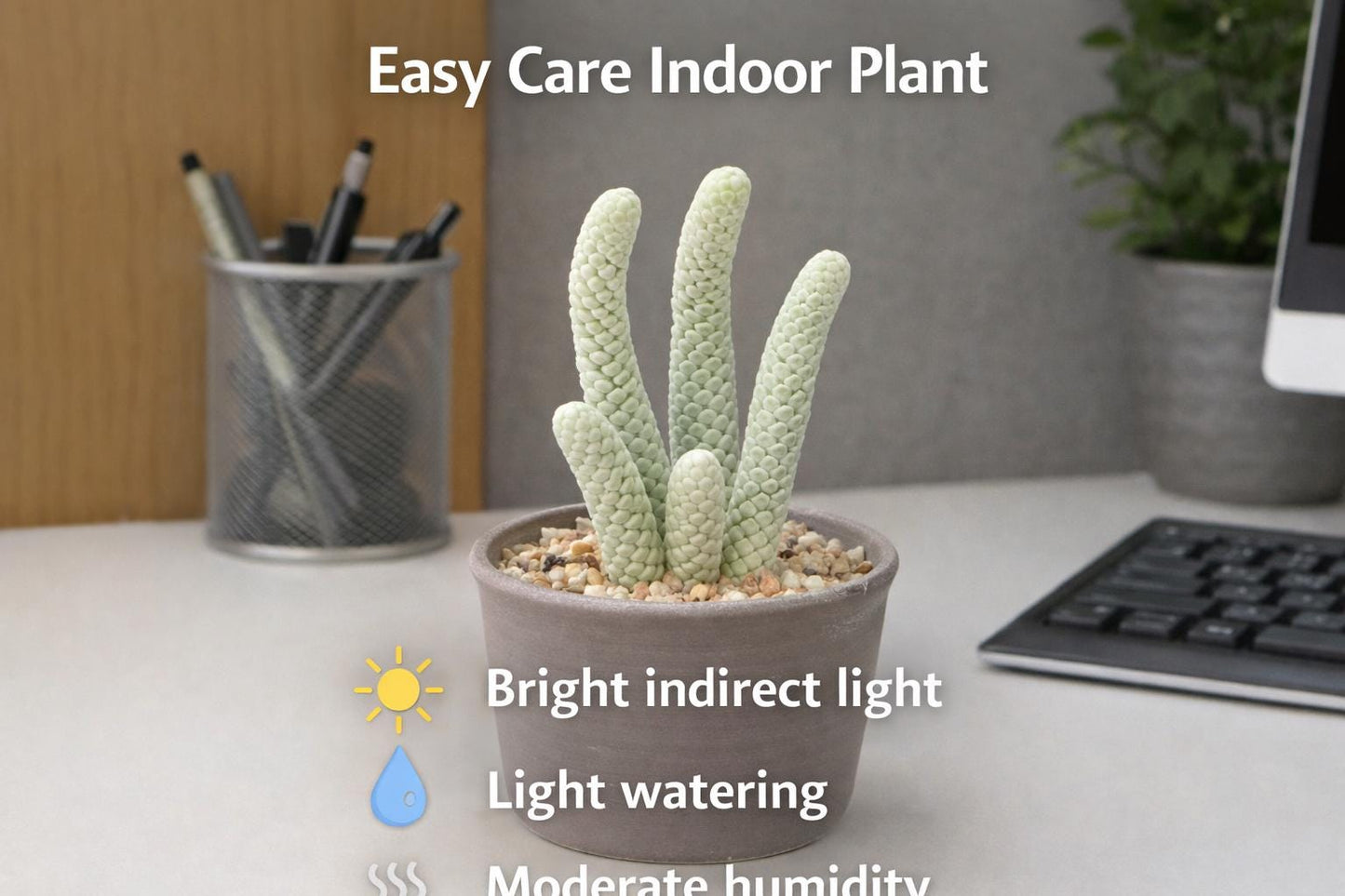 Styled display — Mini Paper Scale Succulent Plant | Cacti Nest