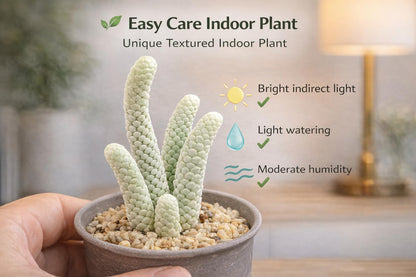 Side view — Mini Paper Scale Succulent Plant | Cacti Nest