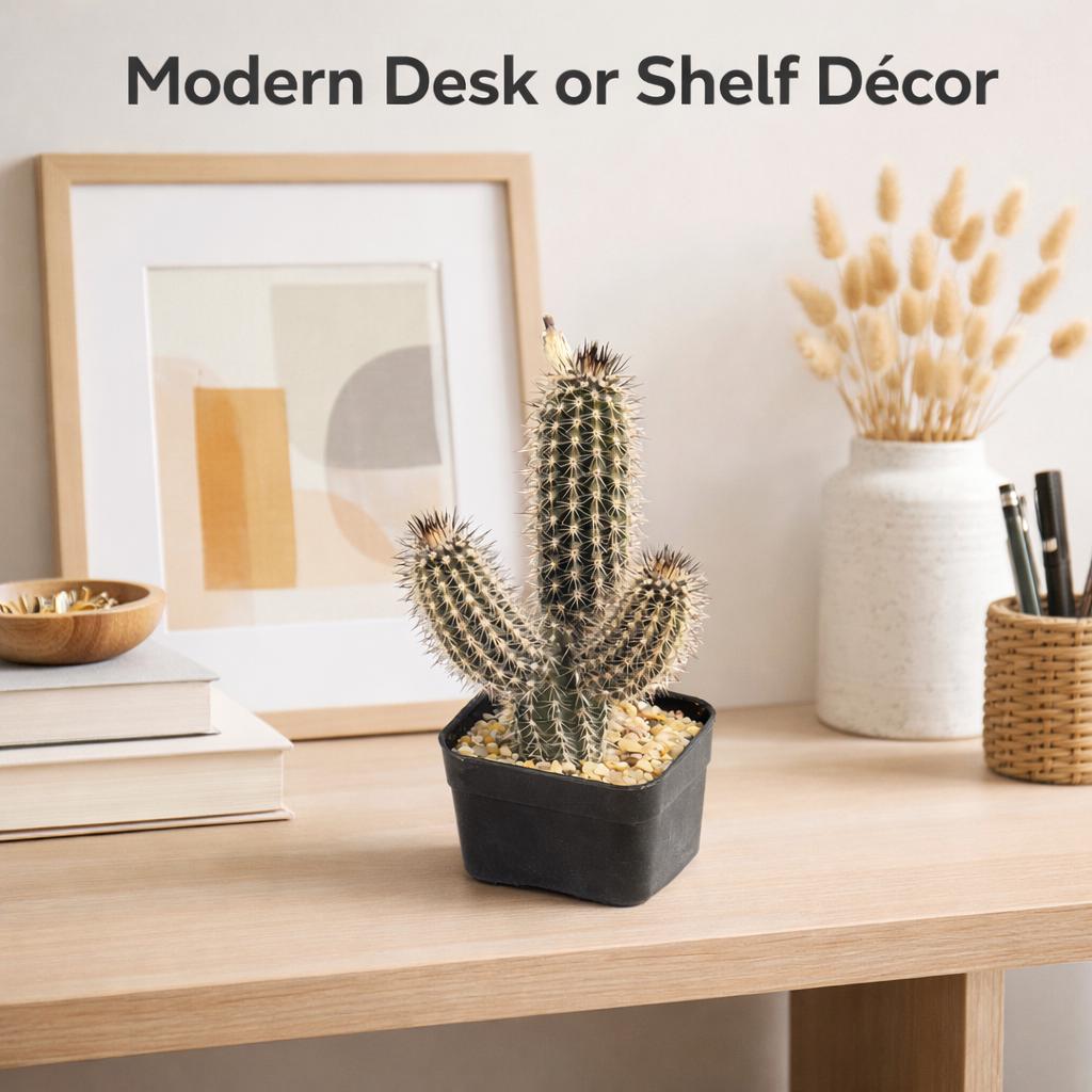 Side view — Black Pencil Cactus Indoor Succulent | Cacti Nest