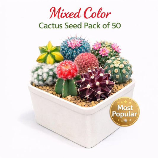 Main product photo of Mixed Color Cactus Seed Pack of 50, Indoor Garden Starter Set, Easy Grow Seeds for Pots or Planters Fun DIY Gift for Plant Lovers, showing the primary view of the listing