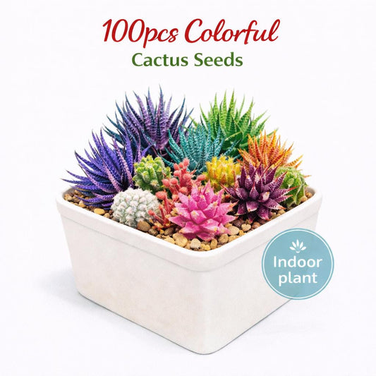 Main product photo of 100pcs Colorful Cactus Seeds, Mixed Blossom Cactus Seeds, Rainbow Succulent Seeds, Easy Growing Indoor Garden Decor, showing the primary view of the listing