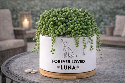 Overhead View of Personalized Dog Memorial Planter, Forever Loved Pet Tribute Pot, Custom Pet Loss Gift, Puppy Remembrance Decor, Sympathy Keepsake, highlighting its decor planter look and listing presentation