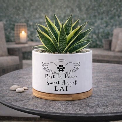 Alternate Angle of Cat Memorial Gift, Rest In Peace Pet Planter Pot, Cat Loss Sympathy Gift for Pet Owner, Kitty Remembrance Decor, Angel Wings Pet Tribute, highlighting its decor planter look and listing presentation