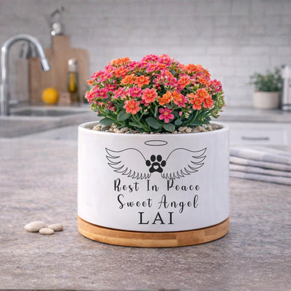 Scale Reference View of Cat Memorial Gift, Rest In Peace Pet Planter Pot, Cat Loss Sympathy Gift for Pet Owner, Kitty Remembrance Decor, Angel Wings Pet Tribute, highlighting its decor planter look and listing presentation