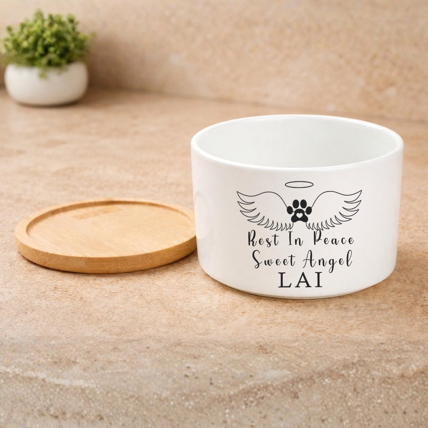 Packaging View of Cat Memorial Gift, Rest In Peace Pet Planter Pot, Cat Loss Sympathy Gift for Pet Owner, Kitty Remembrance Decor, Angel Wings Pet Tribute, highlighting its decor planter look and listing presentation