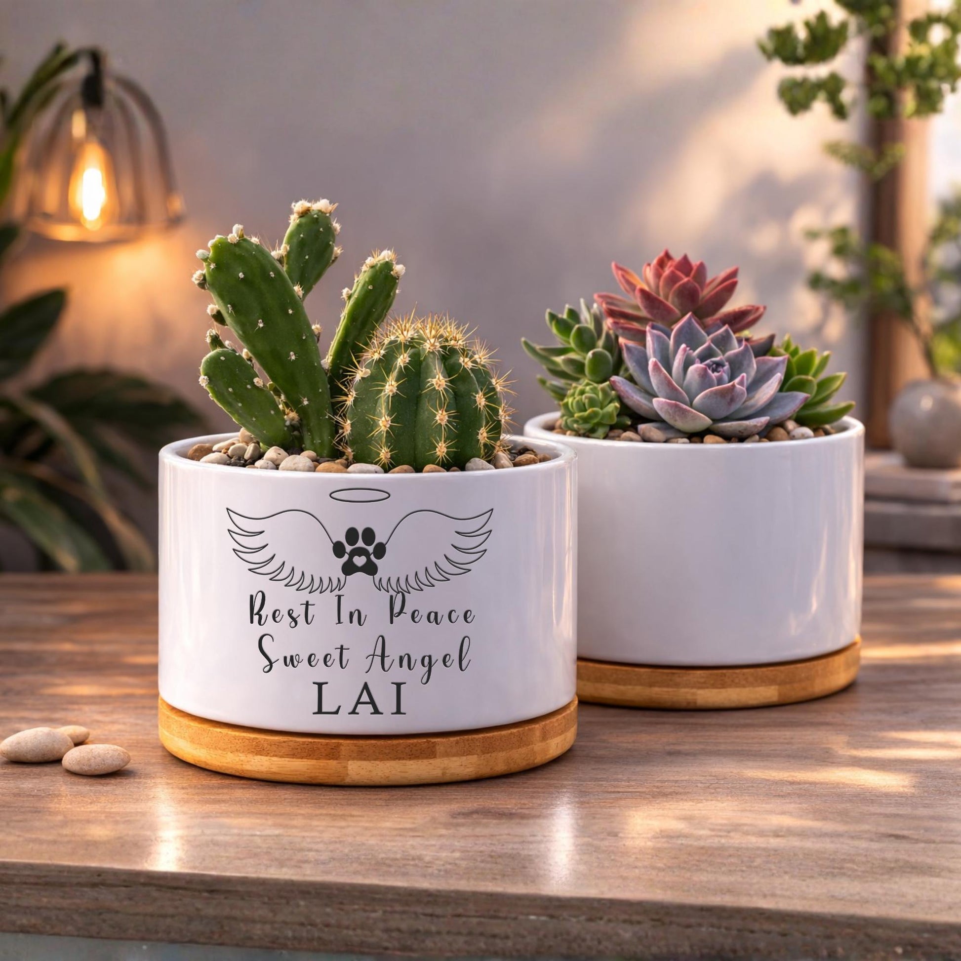 Close-Up Detail of Cat Memorial Gift, Rest In Peace Pet Planter Pot, Cat Loss Sympathy Gift for Pet Owner, Kitty Remembrance Decor, Angel Wings Pet Tribute, highlighting its decor planter look and listing presentation