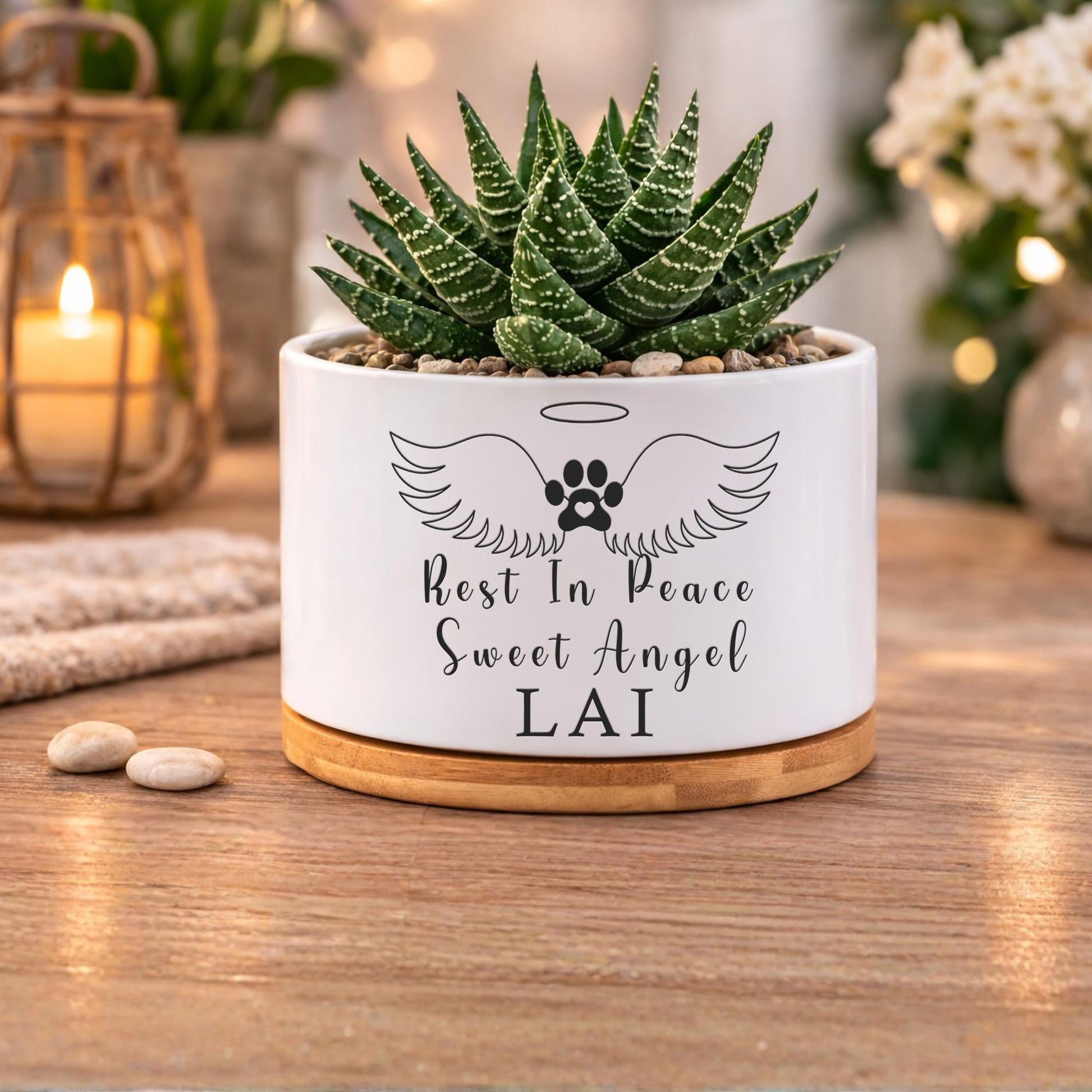Main product photo of Cat Memorial Gift, Rest In Peace Pet Planter Pot, Cat Loss Sympathy Gift for Pet Owner, Kitty Remembrance Decor, Angel Wings Pet Tribute, showing the primary view of the listing