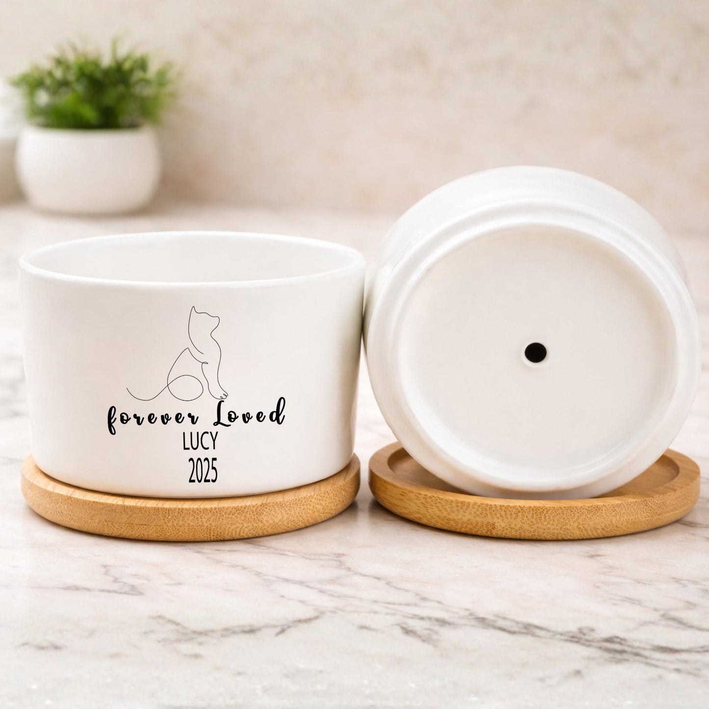 Additional Detail View of Cat Memorial Planter, Personalized Cat Loss Gift for Pet Owner, Forever Loved Kitty Tribute Pot, Pet Remembrance Decor, Cat Lover Gift, highlighting its decor planter look and listing presentation