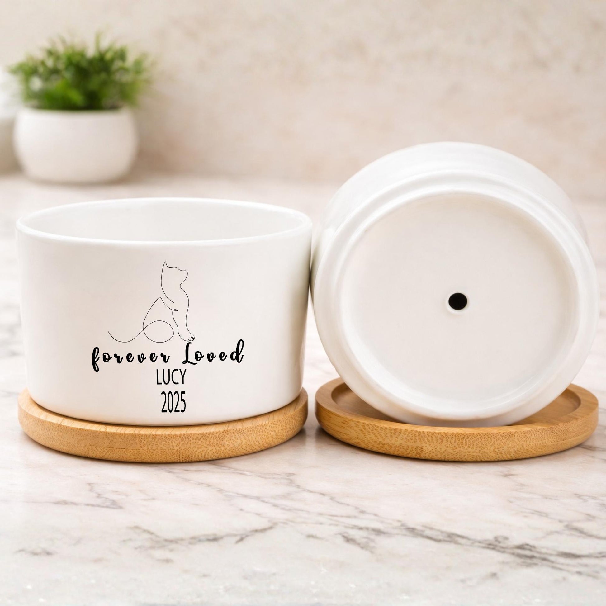 Additional Detail View of Cat Memorial Planter, Personalized Cat Loss Gift for Pet Owner, Forever Loved Kitty Tribute Pot, Pet Remembrance Decor, Cat Lover Gift, highlighting its decor planter look and listing presentation