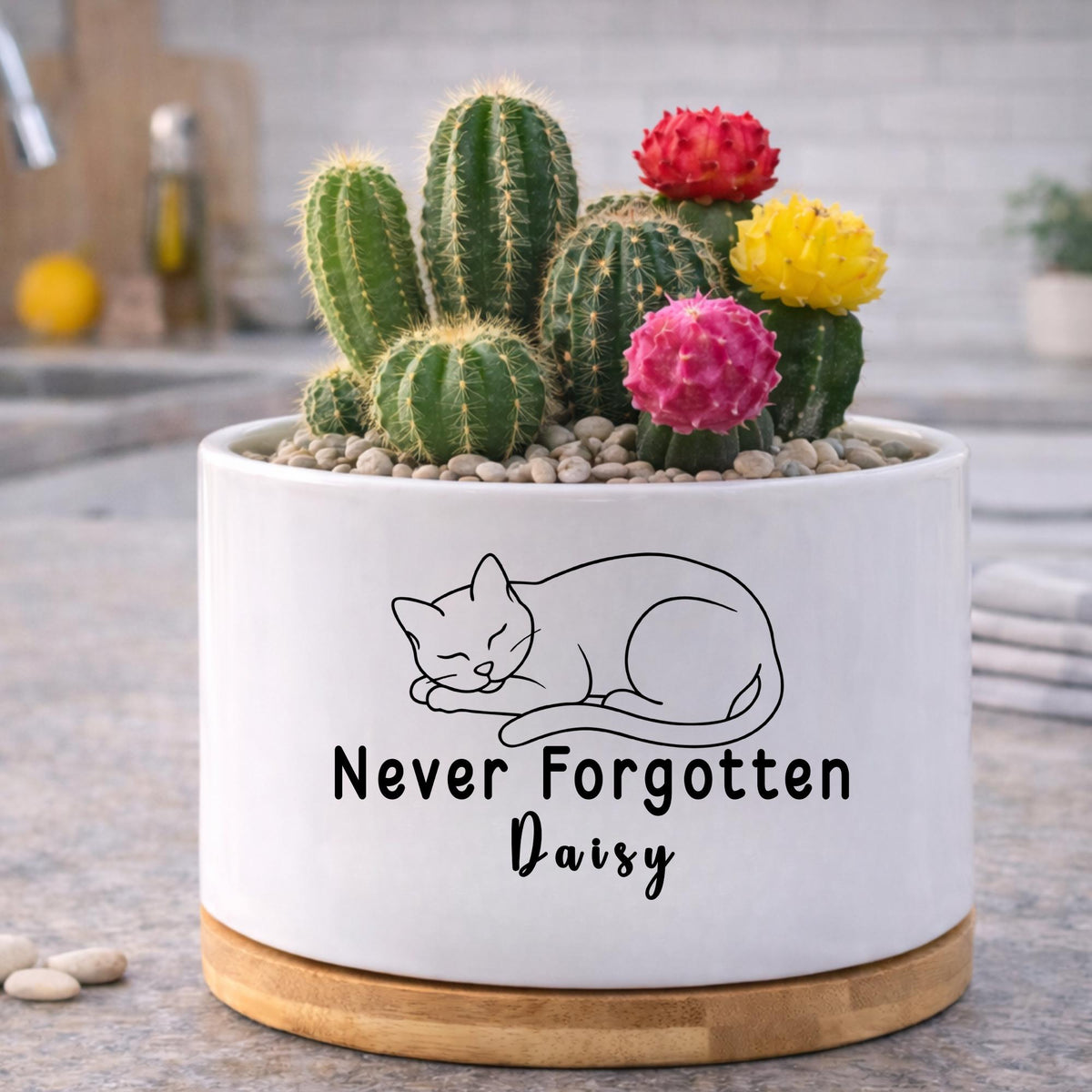 Close-up detail — Personalized Cat Memorial Planter | Cacti Nest