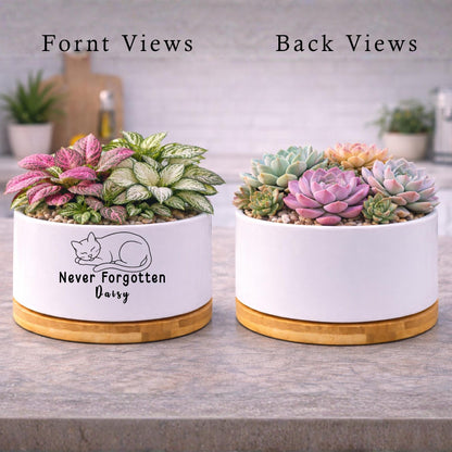 Styled display — Personalized Cat Memorial Planter | Cacti Nest