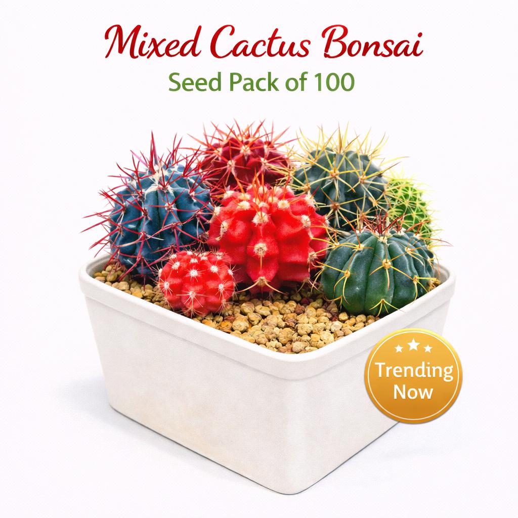 Main product photo of Mixed Cactus Bonsai Seed Pack of 100, Mini Succulent Garden Starter, Easy Grow Seeds for Indoor Pots or Planters, Fun DIY Gift, showing the primary view of the listing