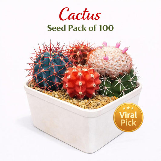 Main product photo of Cactus Seed Pack of 100, Mixed Indoor Succulent Garden Starter, Easy Grow Seeds for Pots or Planters, Fun DIY Gift for Plant Lovers, showing the primary view of the listing