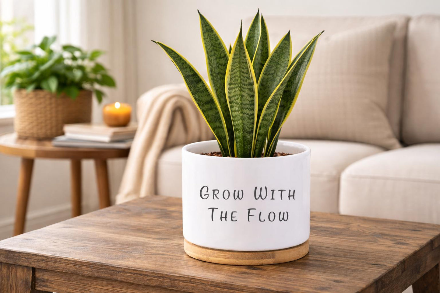 Scale Reference View of Personalized Succulent Planter Gift, Custom Quote Plant Pot, Motivational Desk Decor, Employee Appreciation Present, Office Keepsake, highlighting its succulent look and listing presentation