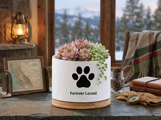 Alternate angle — Custom Pet Memorial Succulent Pot | Cacti Nest