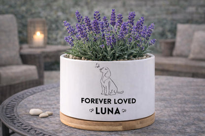 Scale Reference View of Personalized Dog Memorial Planter, Forever Loved Pet Tribute Pot, Custom Pet Loss Gift, Puppy Remembrance Decor, Sympathy Keepsake, highlighting its decor planter look and listing presentation