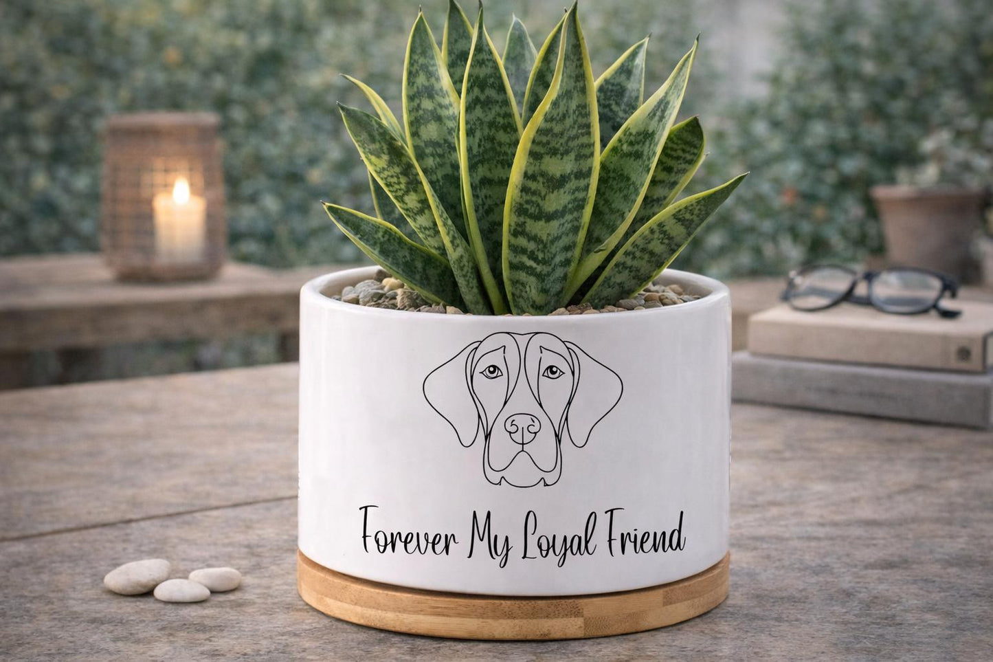 Additional Detail View of Dog Memorial Planter, Pet Loss Sympathy Gift, Forever My Loyal Friend Pot, Puppy Remembrance Plant Holder,Pet Tribute Decor for Animal Lover, highlighting its decor planter look and listing presentation