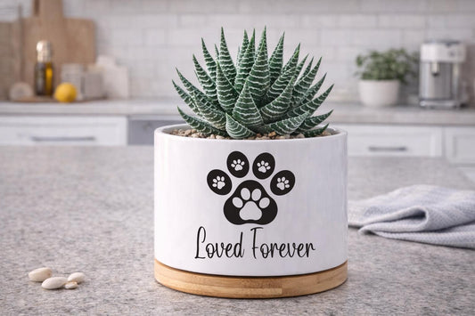 Alternate angle — Custom Pet Memorial Planter | Cacti Nest