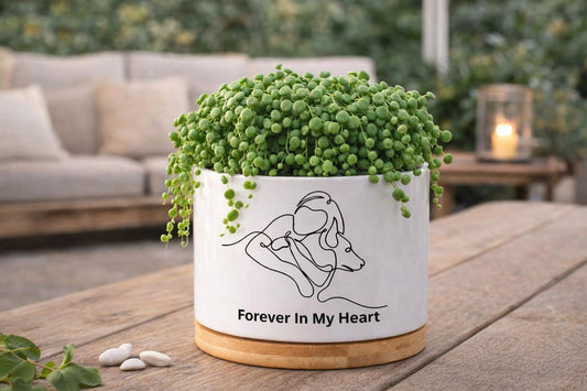 Alternate angle — Custom Pet Memorial Planter | Cacti Nest