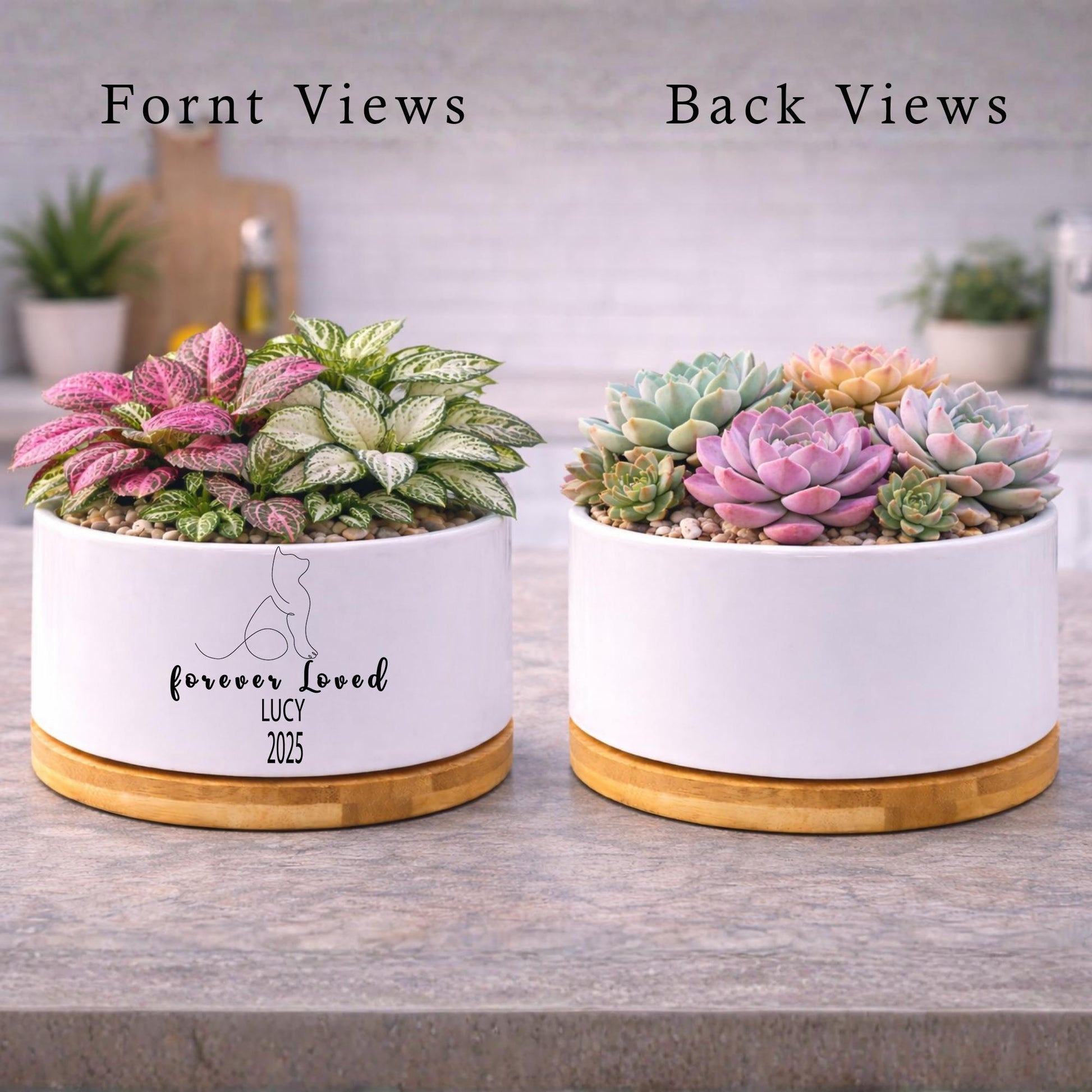 Packaging View of Cat Memorial Planter, Personalized Cat Loss Gift for Pet Owner, Forever Loved Kitty Tribute Pot, Pet Remembrance Decor, Cat Lover Gift, highlighting its decor planter look and listing presentation