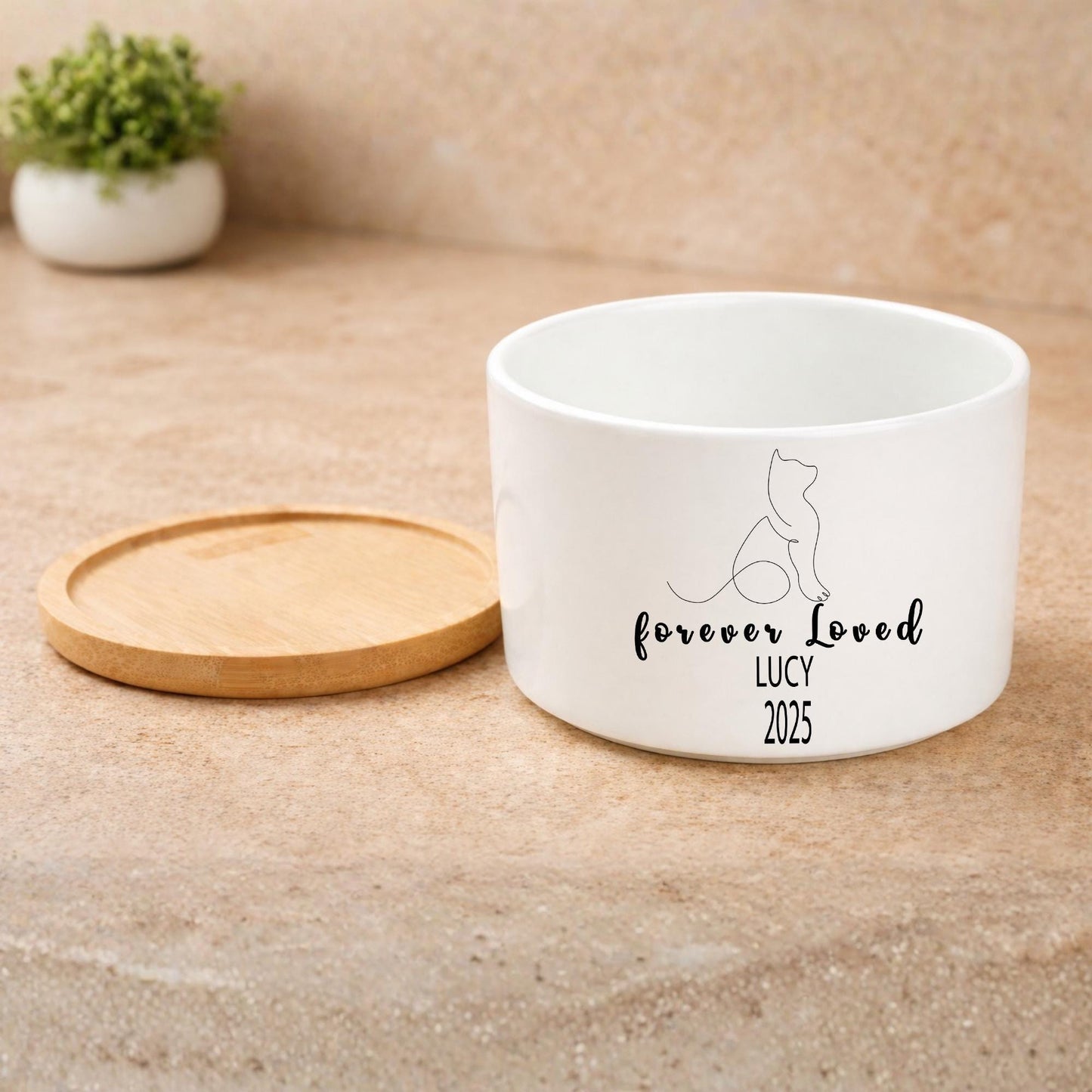 Scale Reference View of Cat Memorial Planter, Personalized Cat Loss Gift for Pet Owner, Forever Loved Kitty Tribute Pot, Pet Remembrance Decor, Cat Lover Gift, highlighting its decor planter look and listing presentation