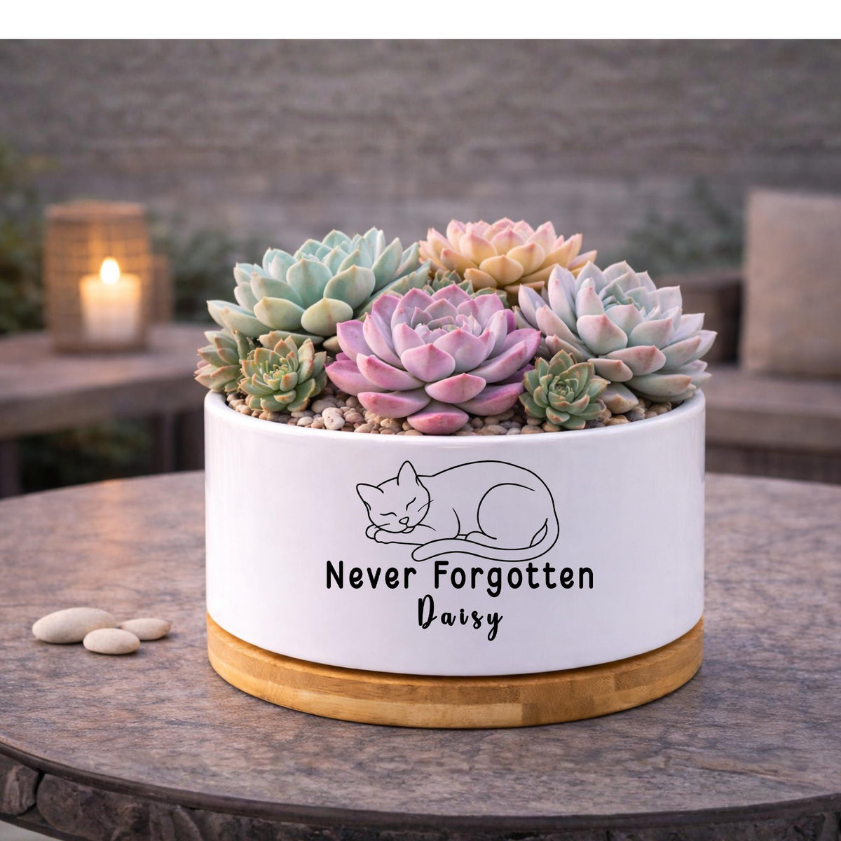 Overhead view — Personalized Cat Memorial Planter | Cacti Nest