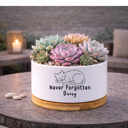 Overhead view — Personalized Cat Memorial Planter | Cacti Nest
