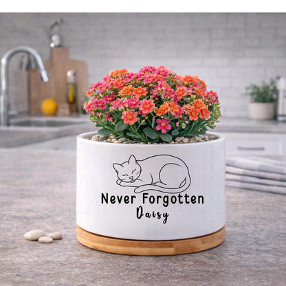 Size reference — Personalized Cat Memorial Planter | Cacti Nest