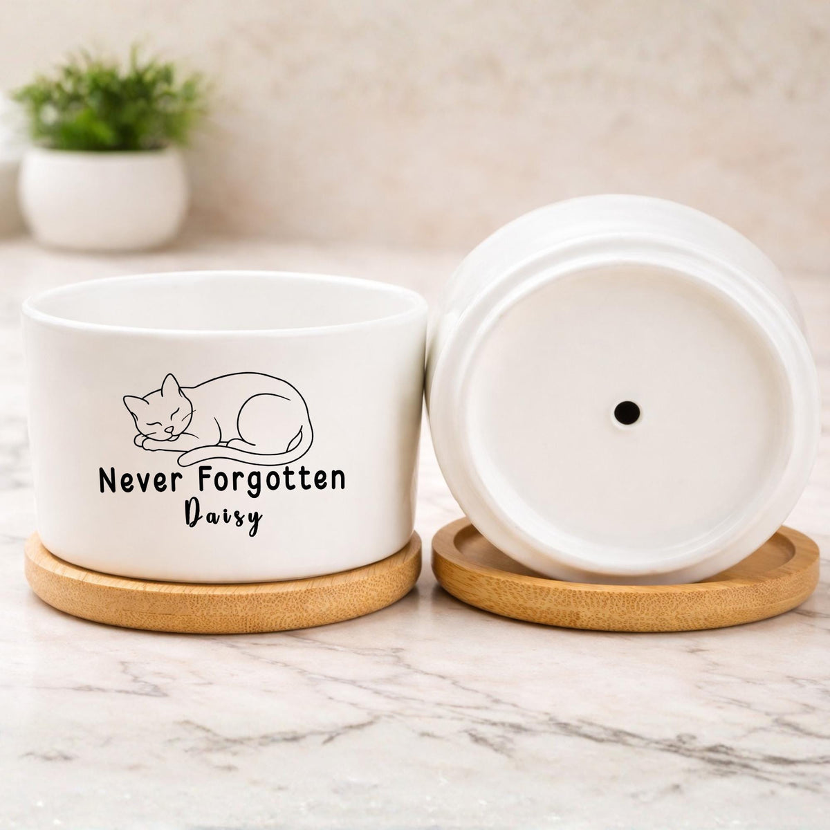Detail view — Personalized Cat Memorial Planter | Cacti Nest