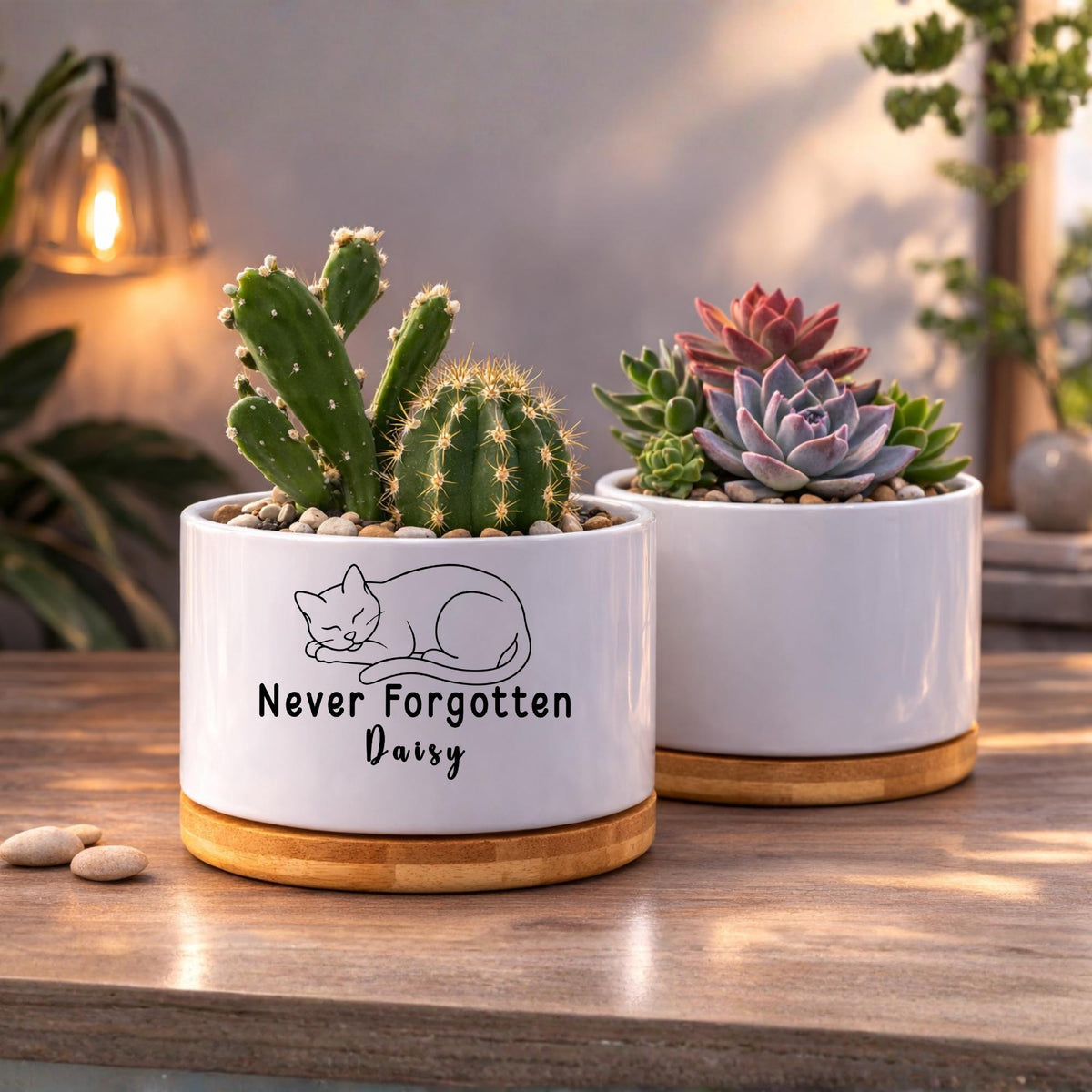 Packaging view — Personalized Cat Memorial Planter | Cacti Nest
