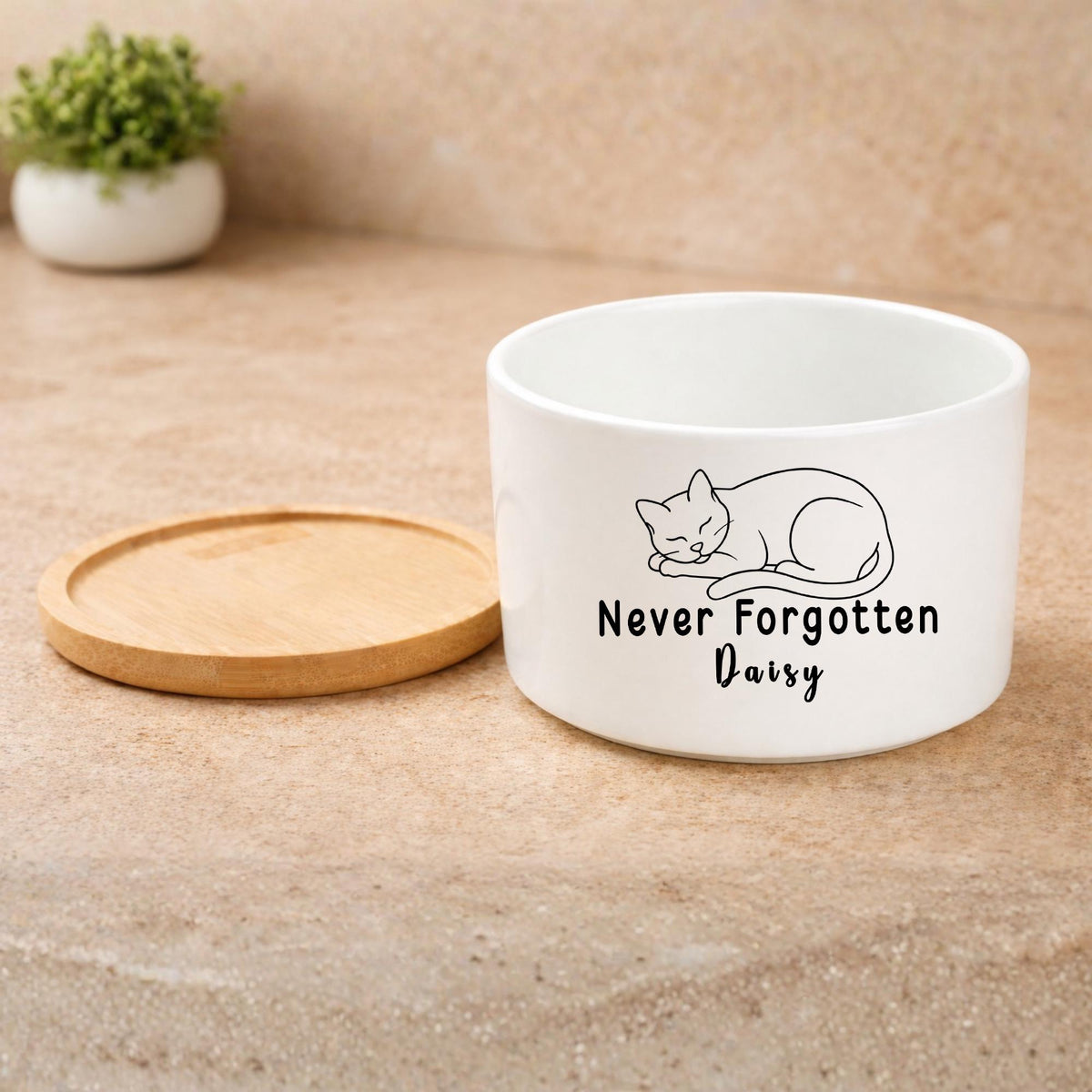 Side view — Personalized Cat Memorial Planter | Cacti Nest