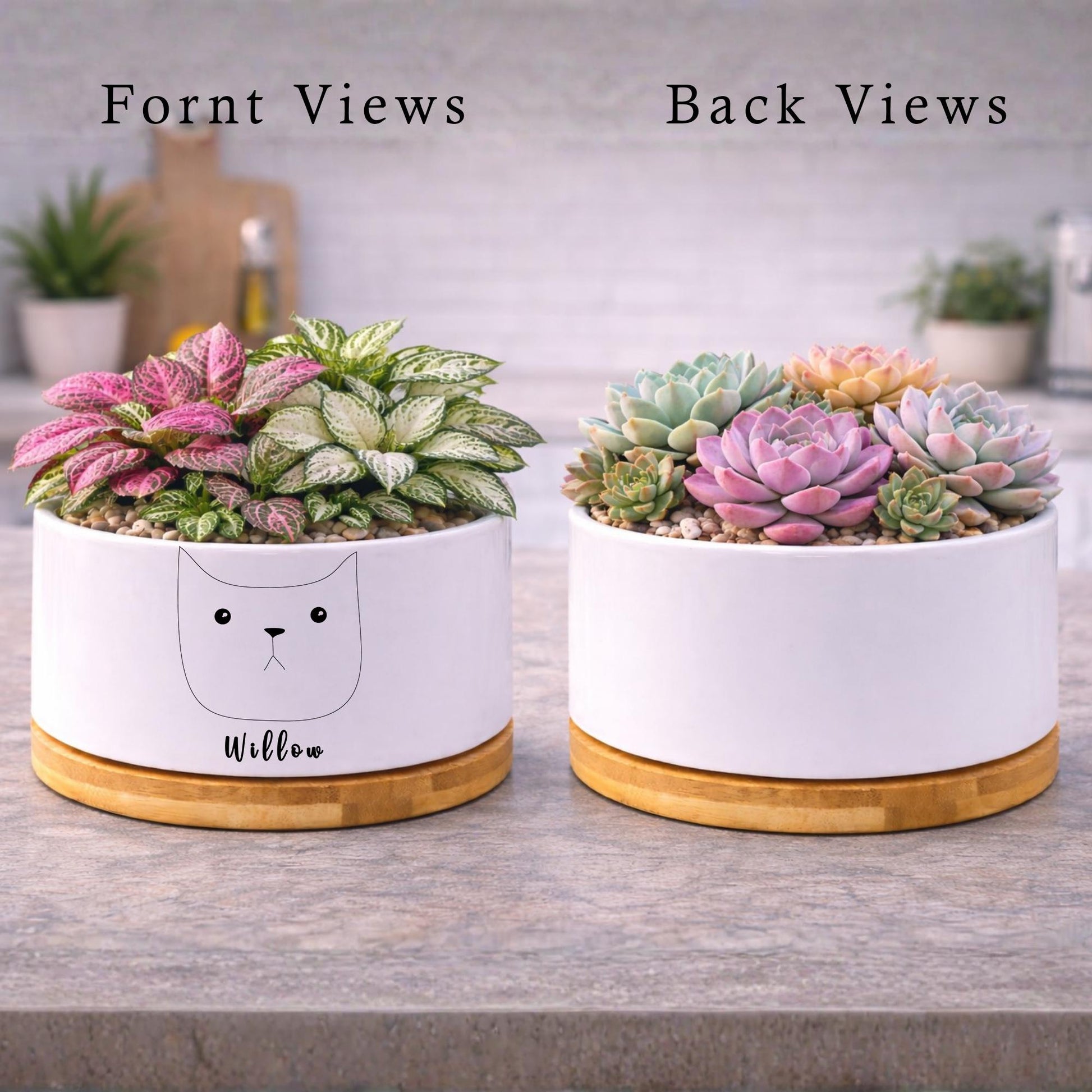 Scale Reference View of Pet Memorial Planter, Personalized Cat Memory Pot for Cat Lover, Kitty Tribute Gift for Pet Owner, Feline Remembrance Decor,Loss of Cat Gift, highlighting its decor planter look and listing presentation