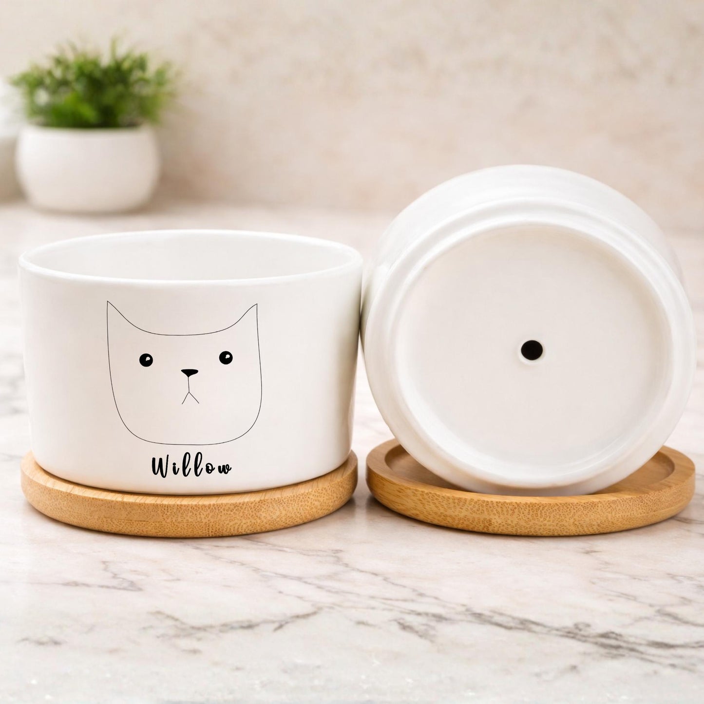 Styled Display View of Pet Memorial Planter, Personalized Cat Memory Pot for Cat Lover, Kitty Tribute Gift for Pet Owner, Feline Remembrance Decor,Loss of Cat Gift, highlighting its decor planter look and listing presentation