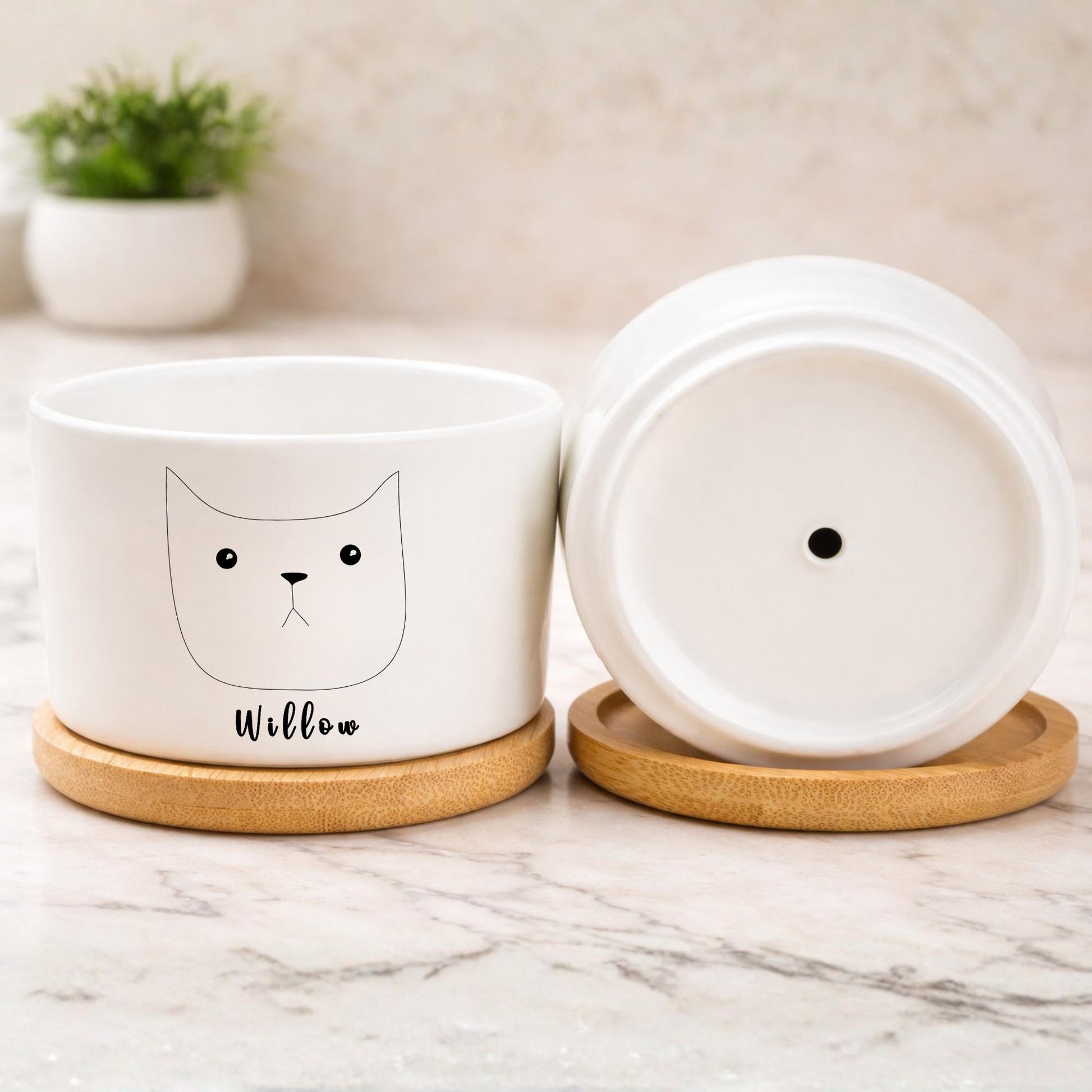 Styled Display View of Pet Memorial Planter, Personalized Cat Memory Pot for Cat Lover, Kitty Tribute Gift for Pet Owner, Feline Remembrance Decor,Loss of Cat Gift, highlighting its decor planter look and listing presentation