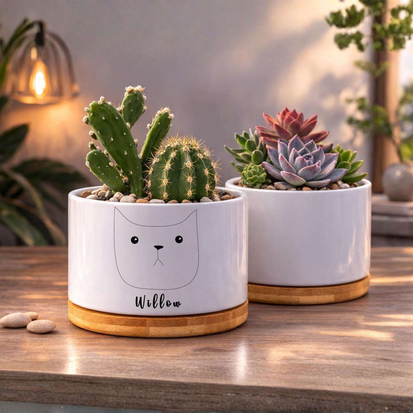 Packaging View of Pet Memorial Planter, Personalized Cat Memory Pot for Cat Lover, Kitty Tribute Gift for Pet Owner, Feline Remembrance Decor,Loss of Cat Gift, highlighting its decor planter look and listing presentation